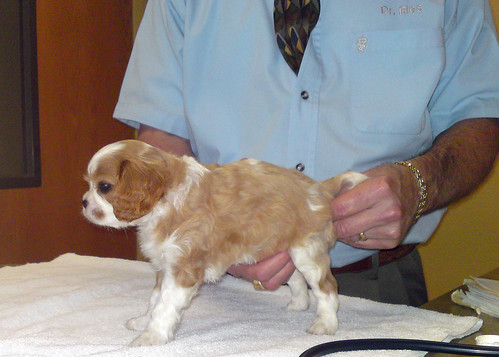 11993179774_3801f1aebb