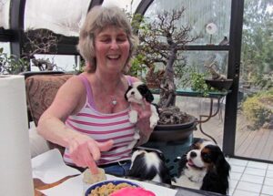 16782358291_16c6d250d6_w