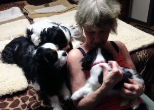 23985535163_00d4872378