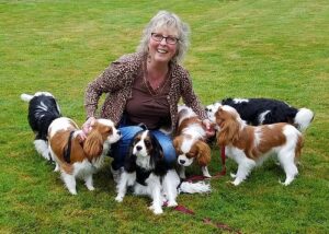 26460470493_98c6496c04