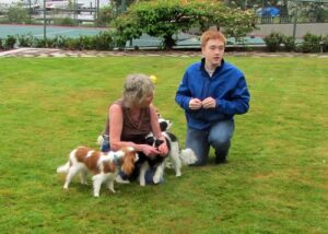 27031088256_64102b5eee