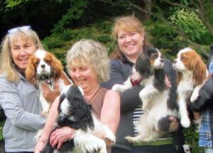 Erica Cavalier FAQ – Answers to Common Client Questions