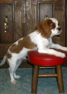 2997295815_3e257b2bfc_z