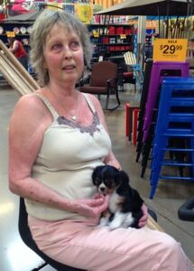 31201152294_7498b242fd_w