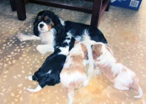 36557420242_d76918416f