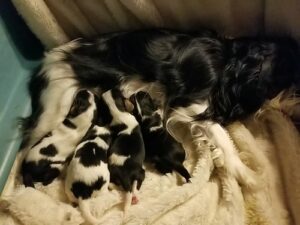 50878967858_f1c176365a