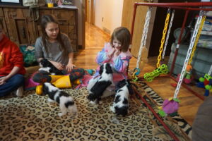 50954948402_6e7a7fc0c2_z